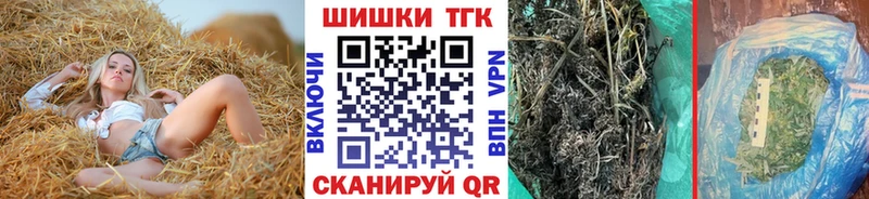 MEGA как войти  дарнет шоп  Заозёрск  Каннабис гибрид 